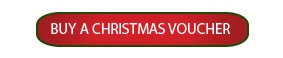 call to action group xmas